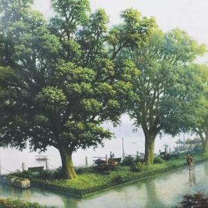 山口诚小男孩和妈妈的故事
